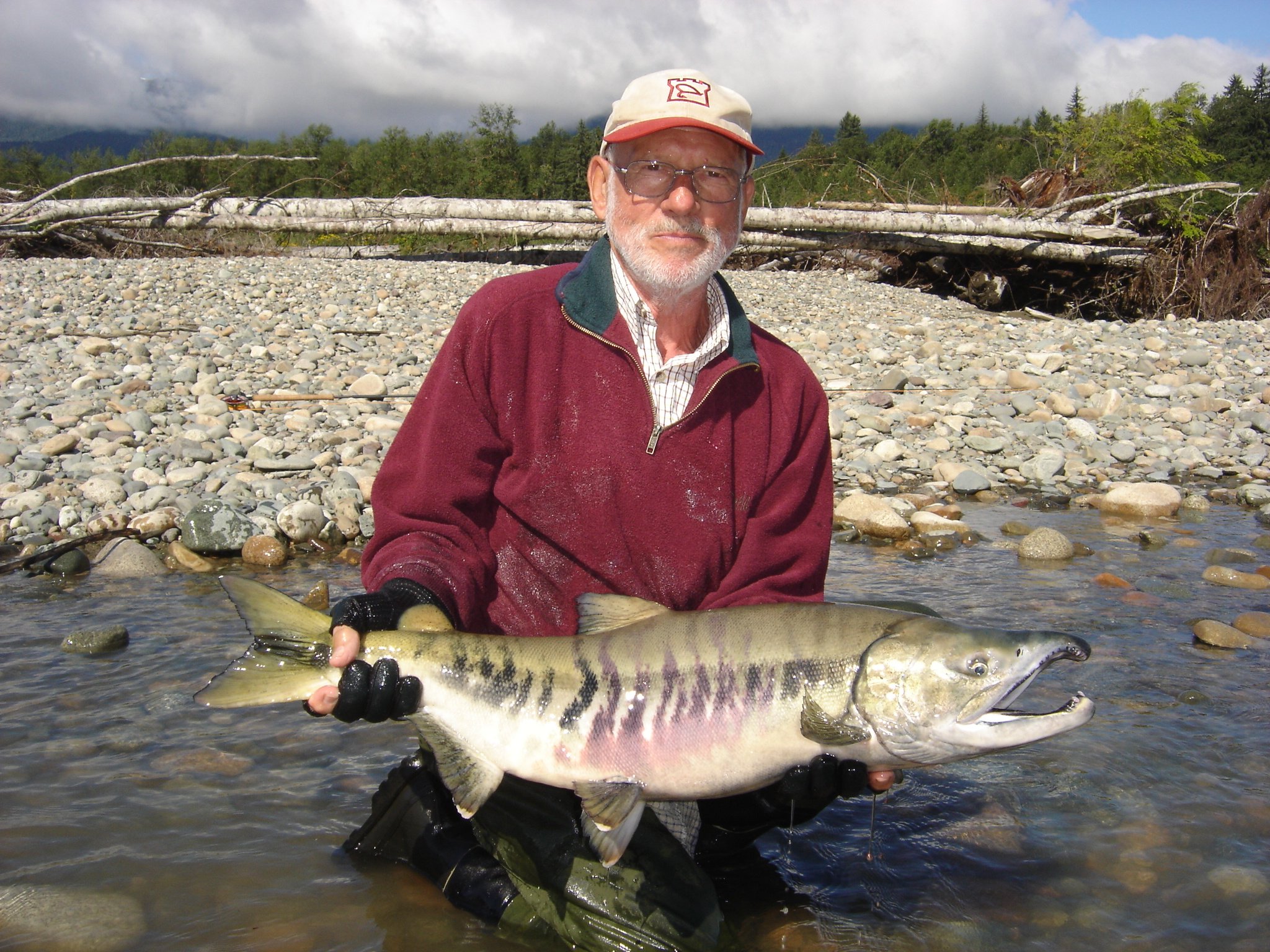 Albert with a nice Chum for the Kitimat River Canada at our Hosted Kalum River Lodge Report