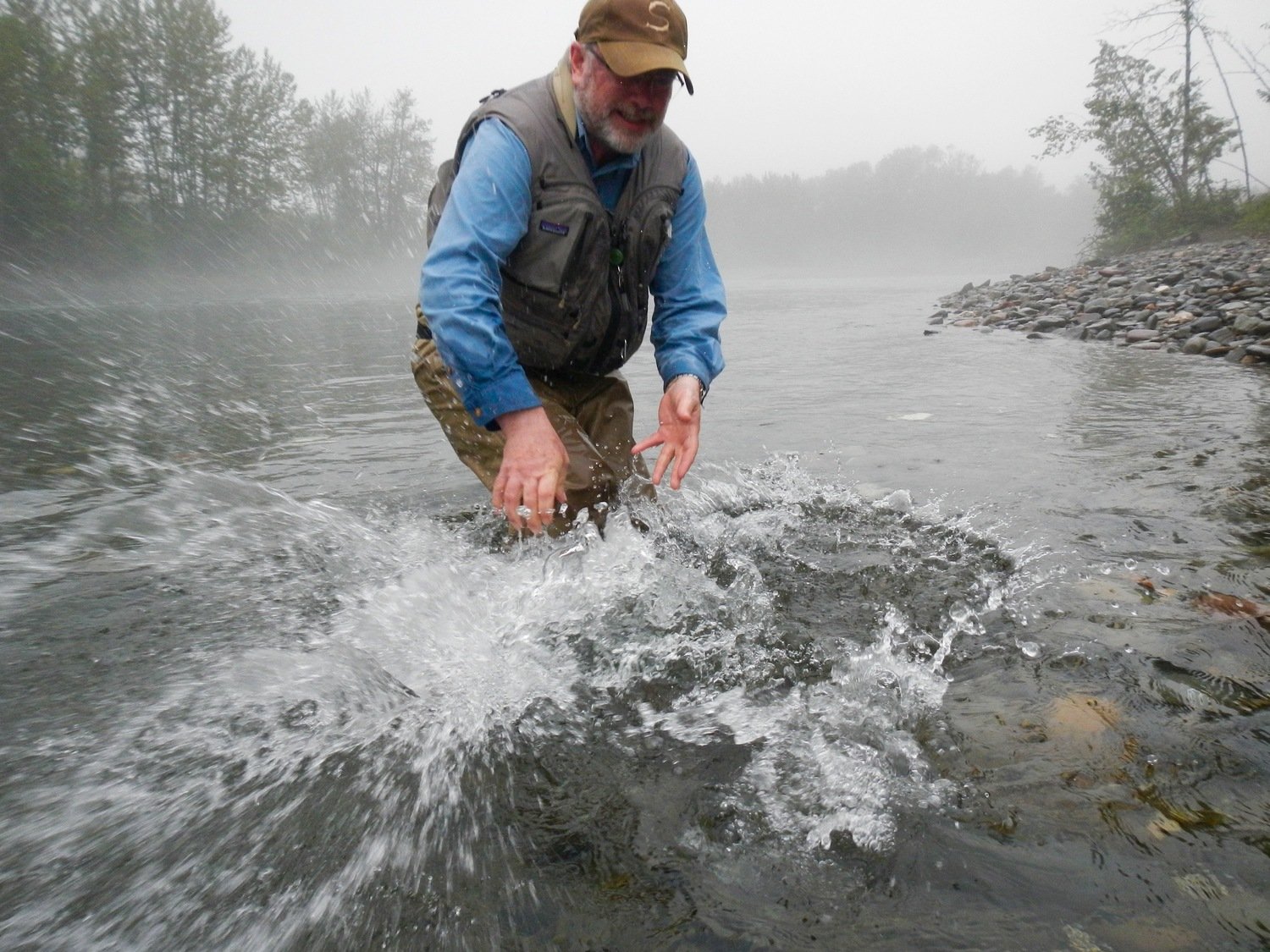 Salmon Lodge Fishing Report and a big splash as customer releases a big Atlantic Salmon back in to the river.