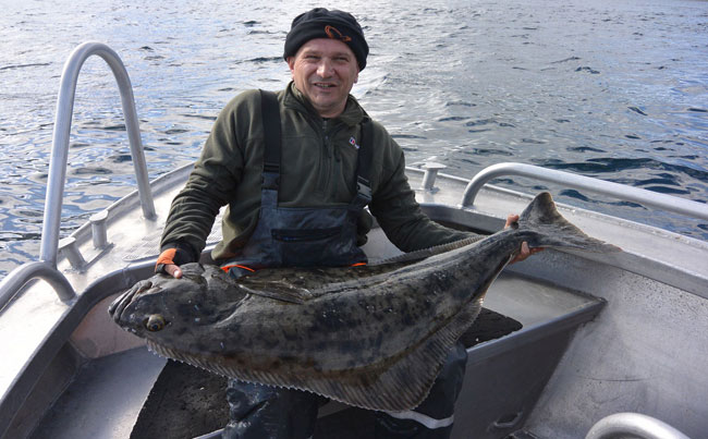 New PB Halibut from our Norway Fishing Report Havoysund