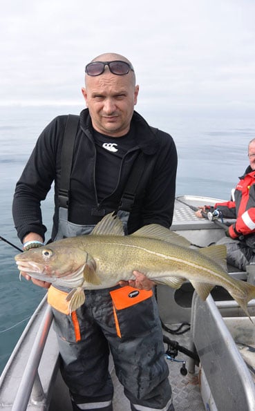 Some cracking Fishing Report Norway on the Cod