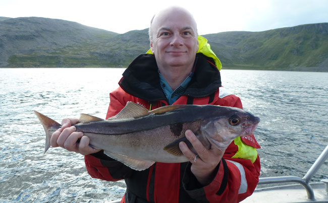 Perfect table sized Haddock caught on our Fishing Report Norway