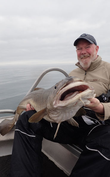 50lb Cod caught on our Fishing Report Norway