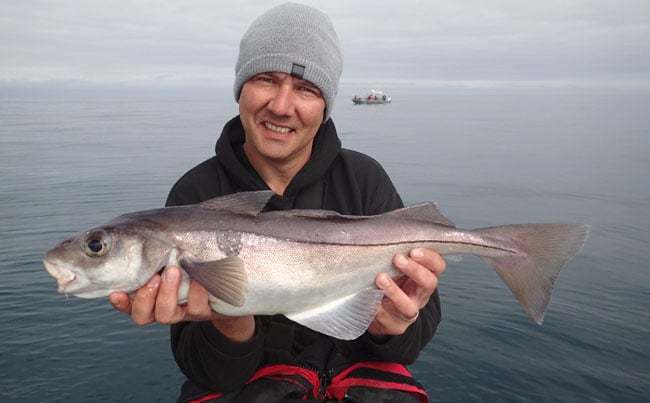 Haddock Fishing Report Norway