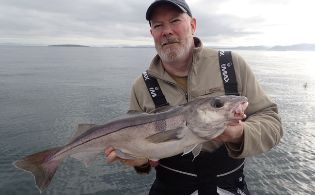 More monster Haddock for Fishing Report Norway and the anglers