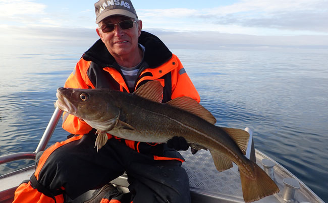 Fishing Report Norway with lots of Cod
