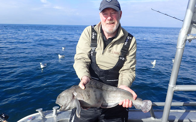 Wolffish Fishing Report Norway