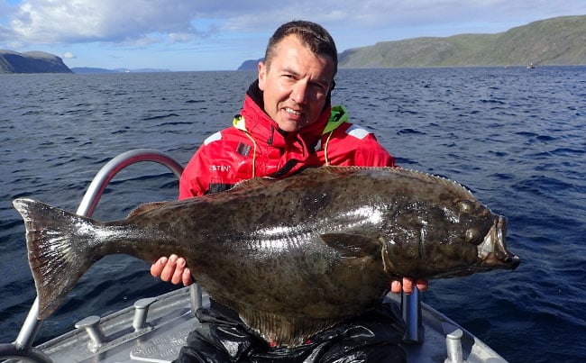 Loads of quality Halibut in this Norway Fishing Report