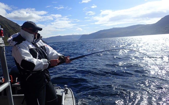 His first ever Halibut Norway Fishing Report