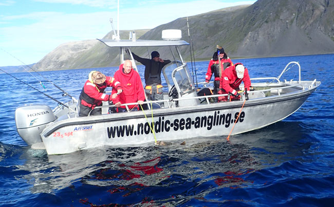 The biggest Halibut Norway Fishing Report we caught