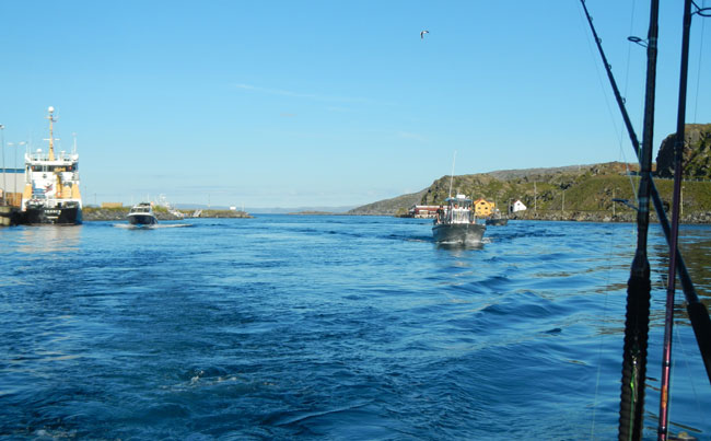 Flat calm seas Norway Fishing Report from Havoysund