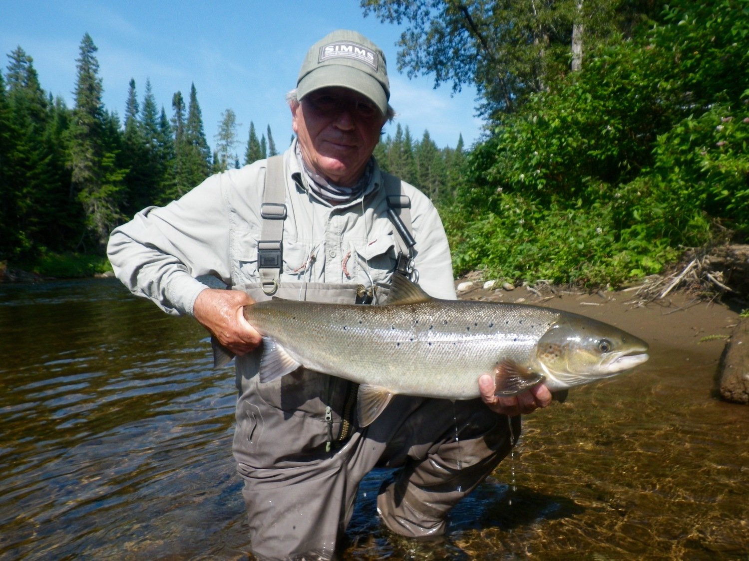 What a nicely marked Atlantic Salmon and great picture with water dripping down.