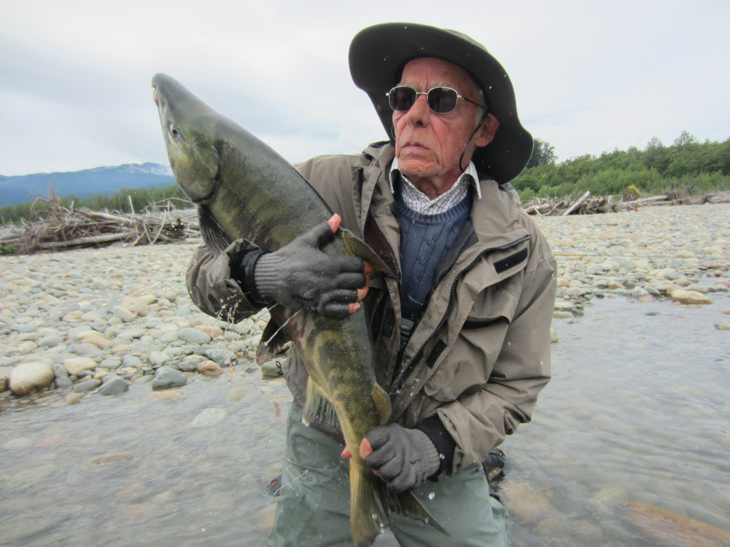 Tim struggles to keep hold of his prize - fly caught Chum Salmon from the Kitimat River Canada Hosted Kalum River Lodge Report