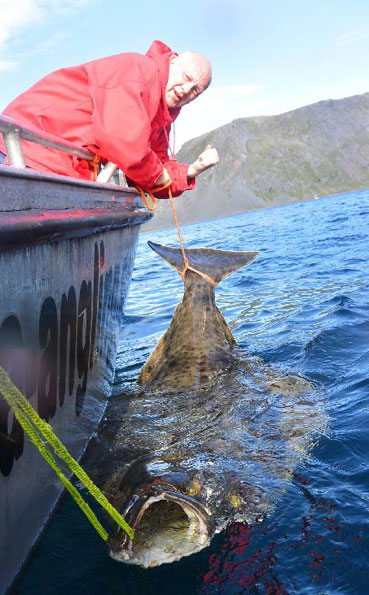 North_Norway_Seafishing_Cod_Halibut_Boat_Fishing_Guided__0015