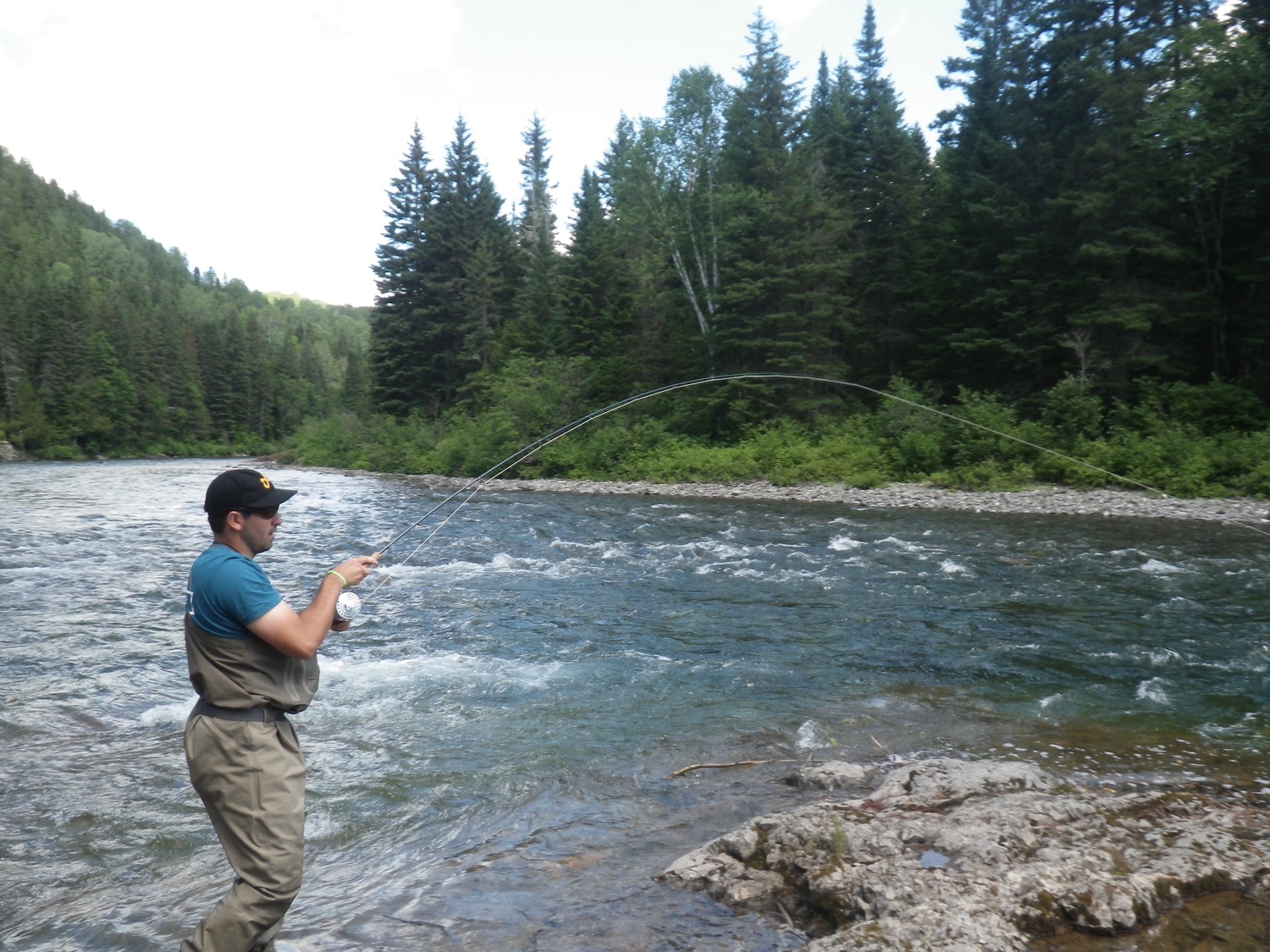 Salmon Lodge River Report