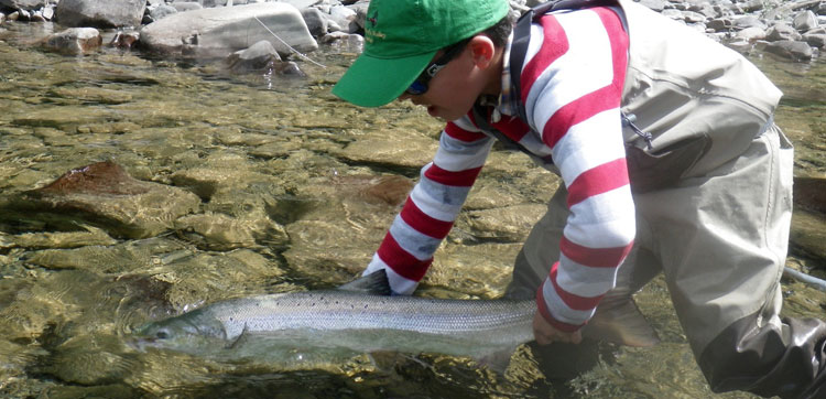 Atlantic Salmon fishing report canada