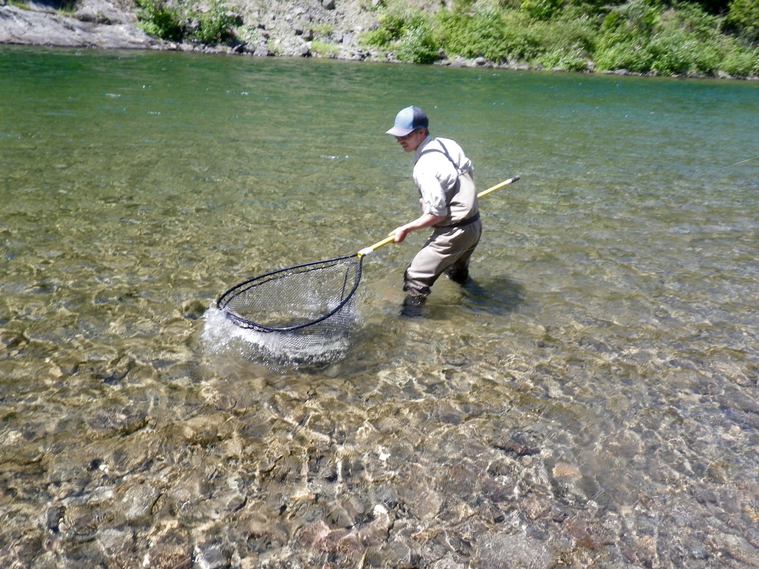 Our guide netting a nice fresh Atlantic Salmon Canada Salmon Lodge River Report