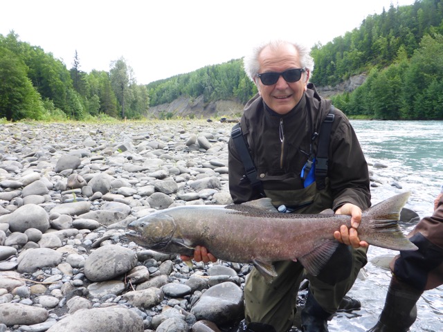 king or chinook salmon from Deep Creek Lodge Fishing Report