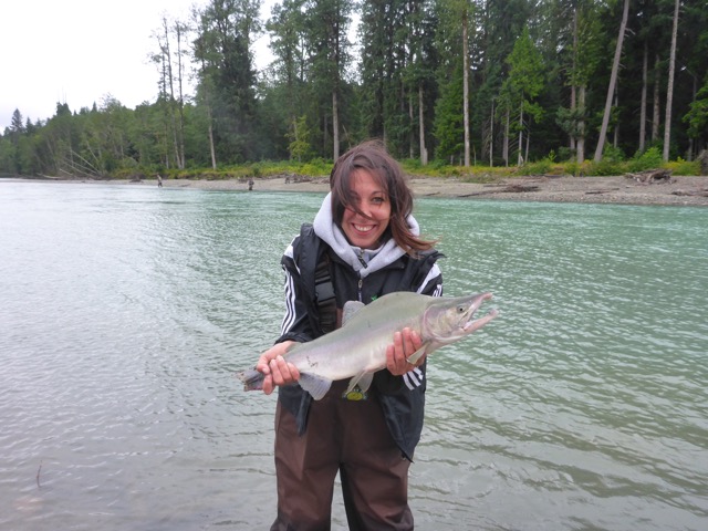 Pink Salmon fly fishing Deep Creek Lodge Fishing Report