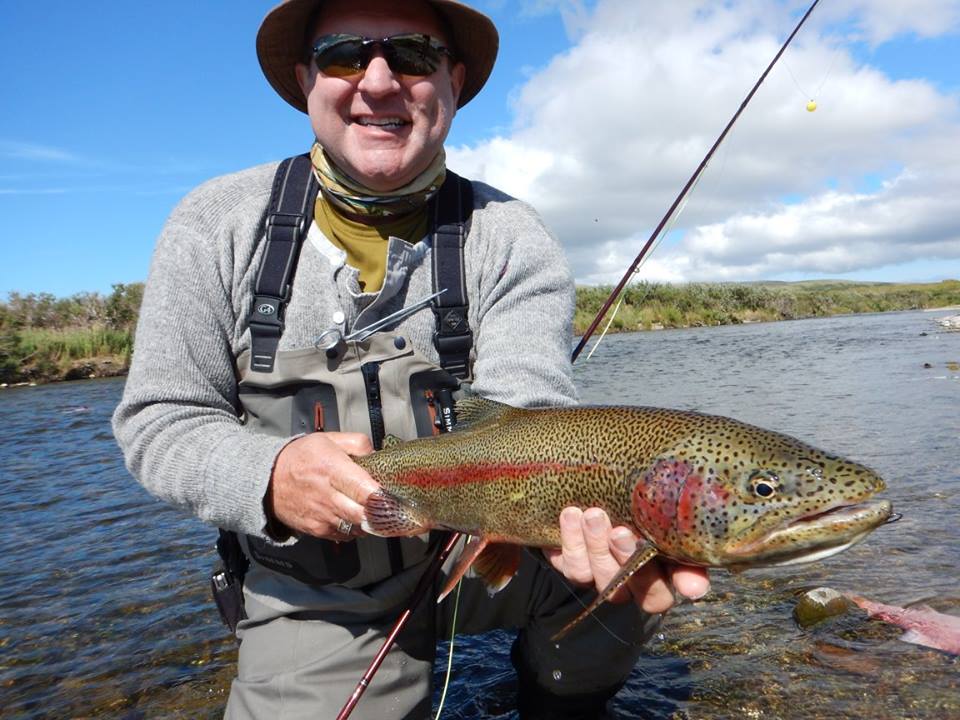 stunning Rainbow Trout no see um lodge Alaska