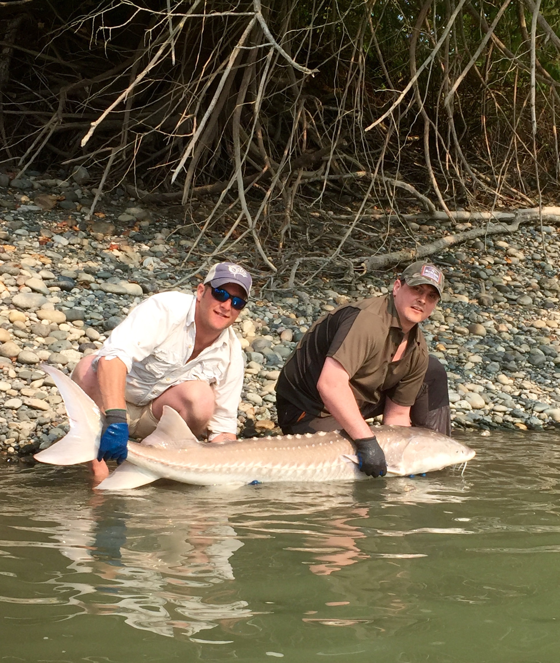 Head guide Mathew holding his first sturgeon Fishing Report Canada