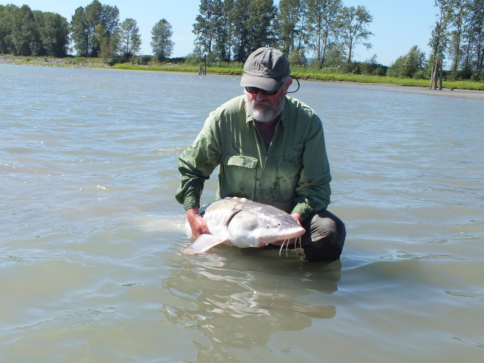 what a fantastic river shot Fishing Report Canada