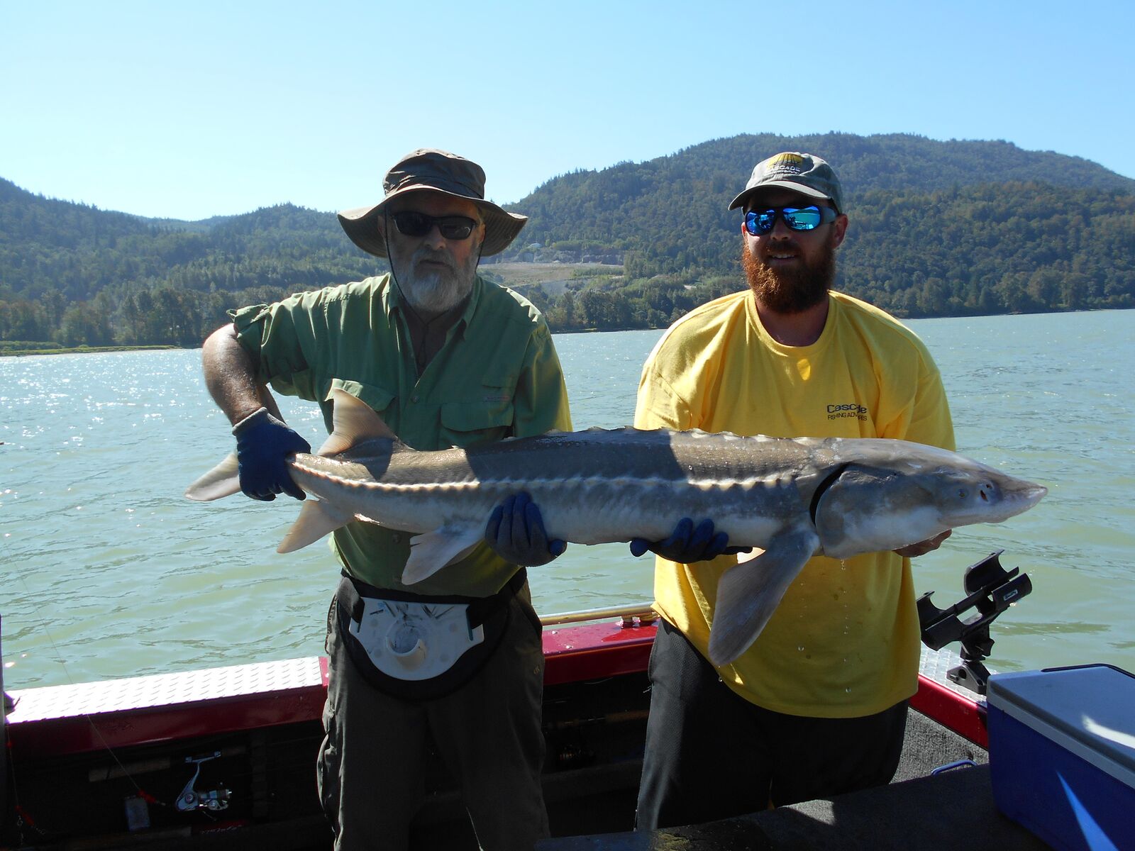 Even the small sturgeon are great Fishing Report Canada