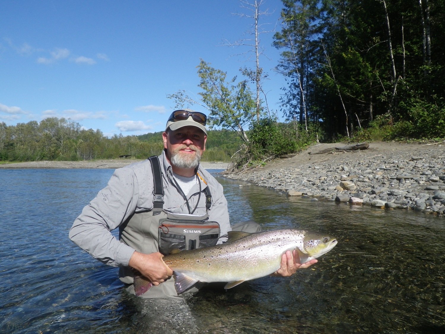 A nice fat Atlantic Salmon just about to be released back to the river Camp Bonaventure Fishing Report
