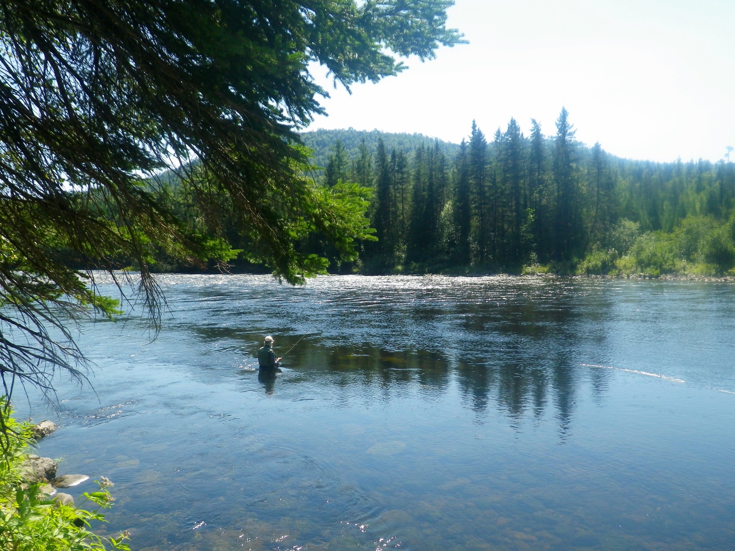 Can you imagine anywhere nicer than this to swing flies for Atlantic Salmon? Stunning river and scenery 