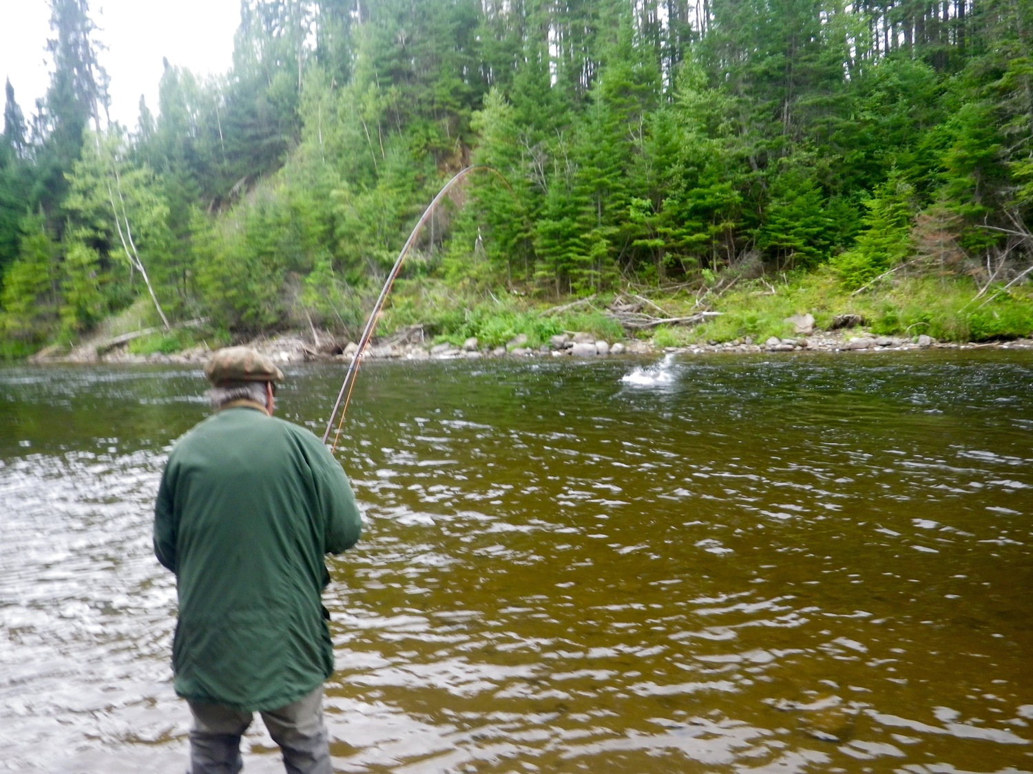 A great picture of a freshly hooked up Atlantic Salmon as the fish bust the surface to shed the fly Salmon Lodge Fishing Report