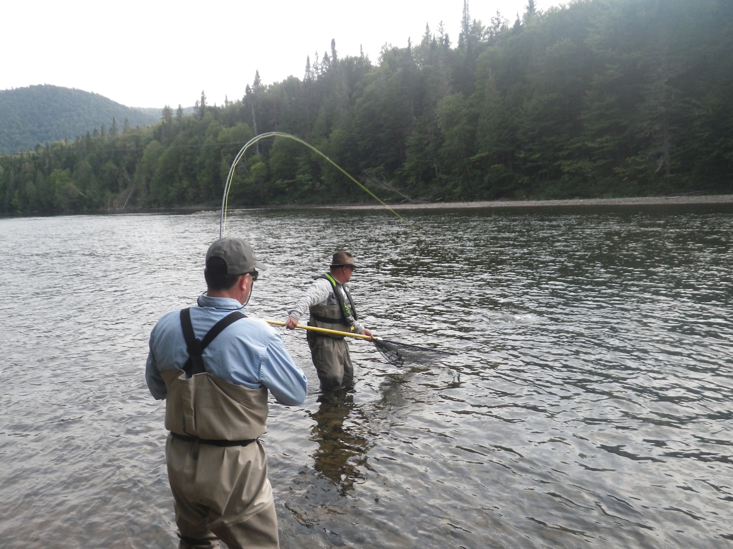 Customer playing a fly caught Atlantic Salmon & guide waiting to net the fish