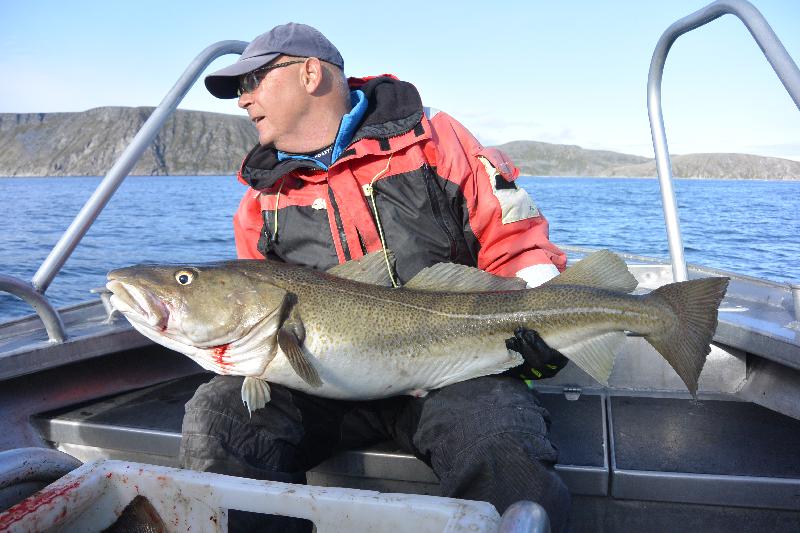 Big Cod in our Norway Fishing Report Self drive boats