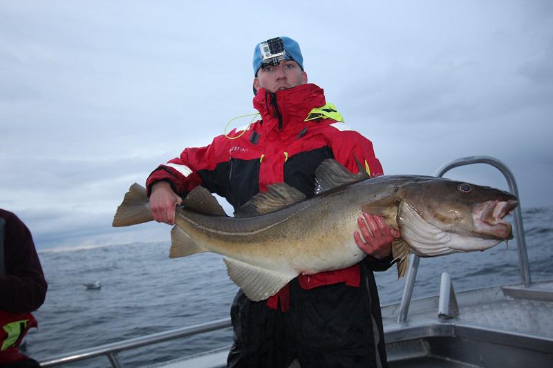 Biggest cod in our Norway Fishing Report