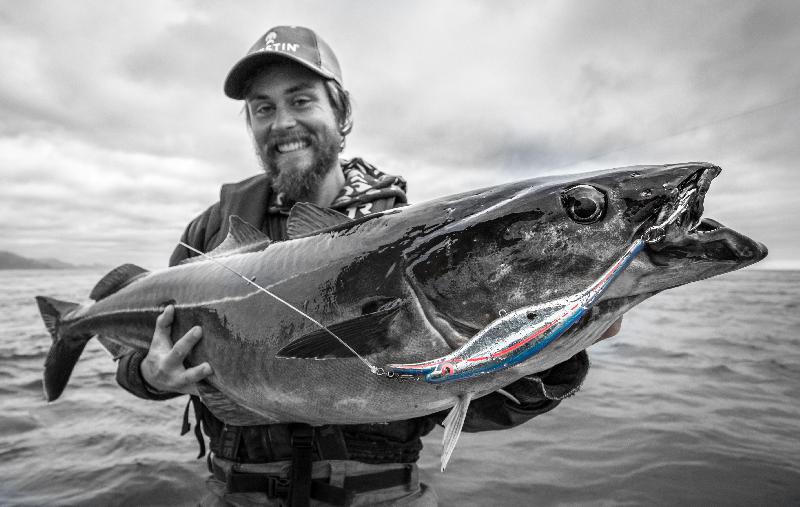 Our other Norway Guide Hannes Fishing report Norway with yet another huge Coalfish