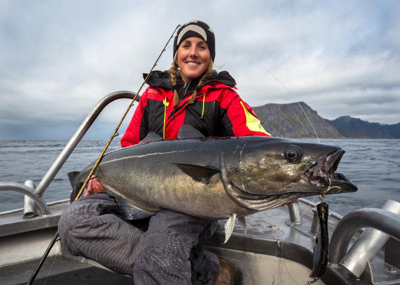Hard fighting Norway Fishing Report on Coalfishing