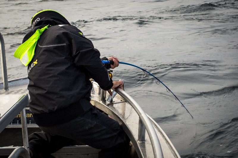 Exciting rod bending fishing report Lofoten Norway