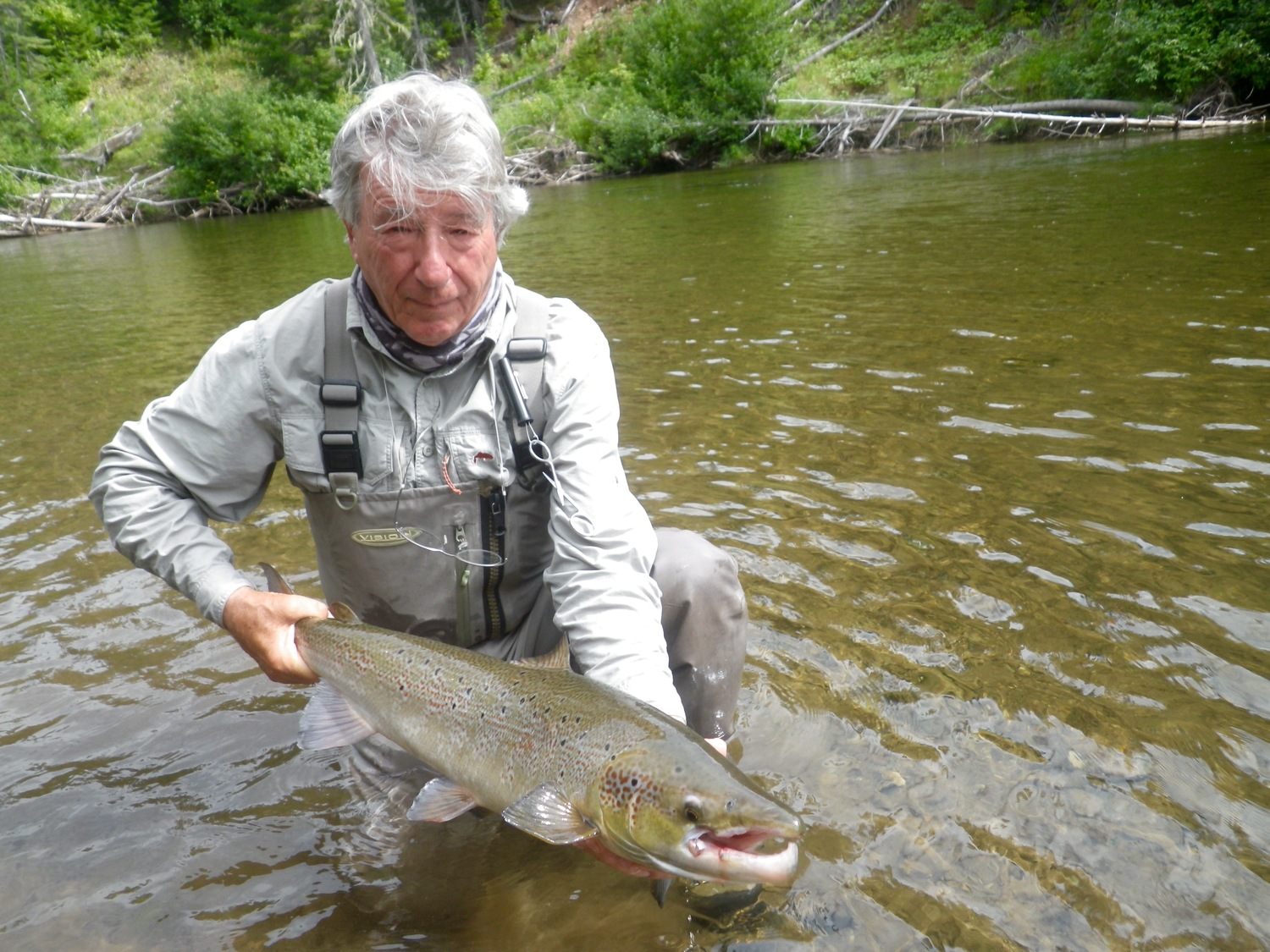 Rolf realeases a nice salmon back to the Grand Cascapedia, Nice one Rolf!