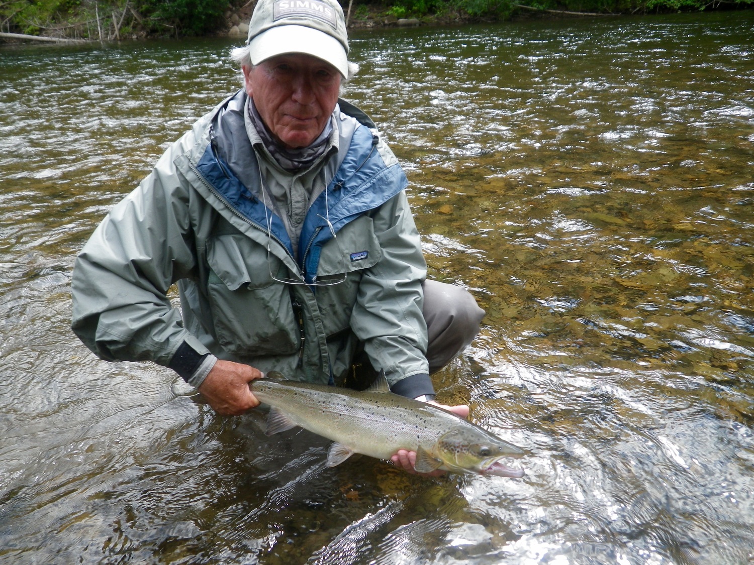 A small Grisle from Salmon Lodge Quebec during this weeks Salmon Lodge Fishing Report