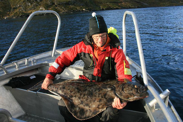 Another huge Halibut caught on shads