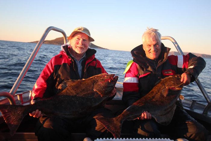 Halibut fishing in Norway is very good