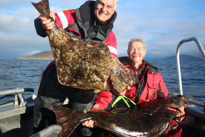 Duble hook up from Havoysund North Norway Norway fishing report