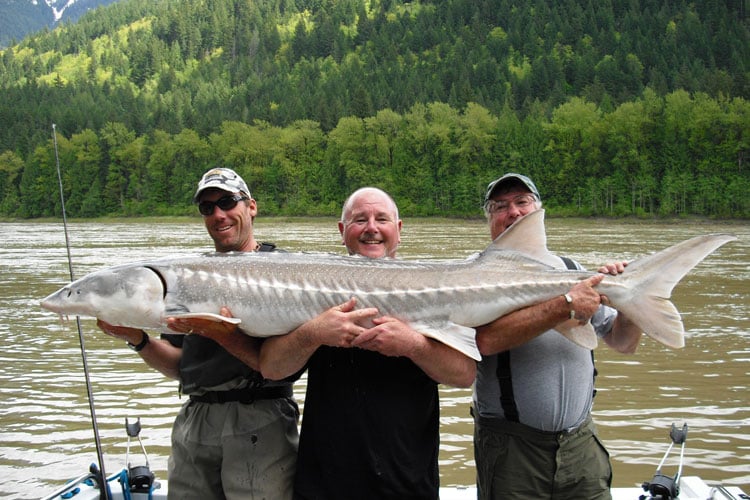 Holding up a huge Sturgeon for our Canada Fishing Report