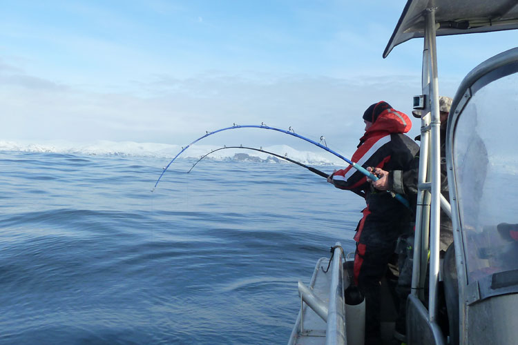 Norway Fishing Report of two men fishing for Cod