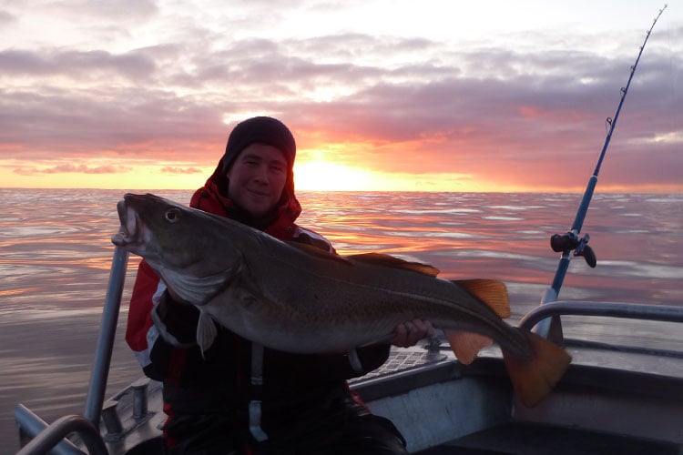 Stunning Sunset over the shoulder of angler Norway Fishing Report Soroya