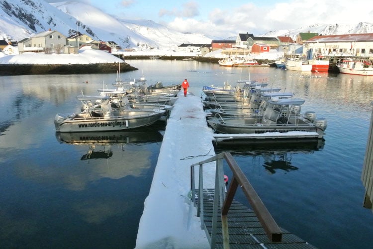All the boats we use at Soroya Norway Fishing Report Soroya