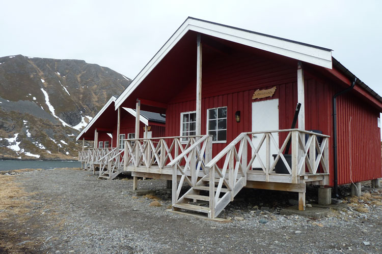 The Camp in Soroya Norway Fishing Report