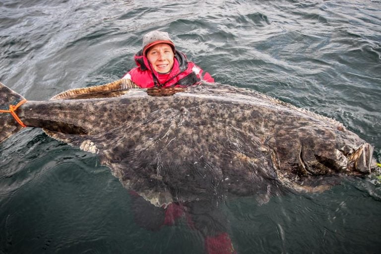 Halibut & Plaice Fishing