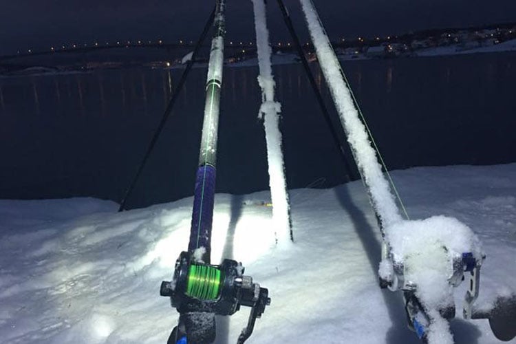 Snow covered rods in Norway shore fishing report