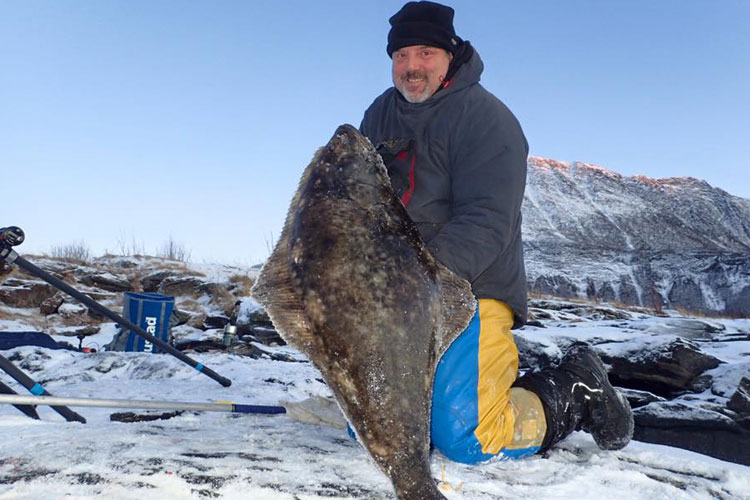 Norway Shore Fishing Report Season 2016 of a 35LB Halibut 