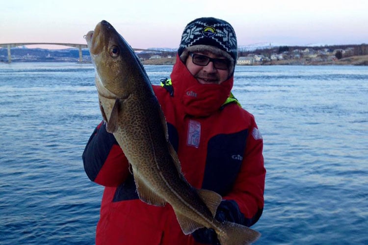 A perfect Cod caught for our Norway Shore Fishing Report Season 2016