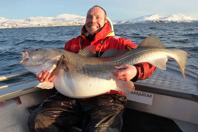 90LB Cod from Soroya Hosted Norway Sea Fishing